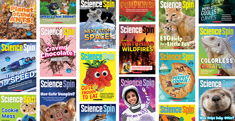Collage of Science Spin magazine covers on topics in nature, space, food, and science