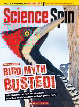 Magazine Issue Cover