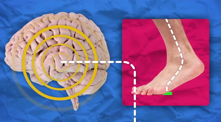 Image showing how brain responds to sensation felt on the bottom of foot
