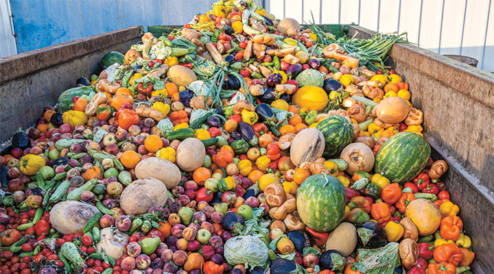 A large bin overflows with discarded fruits and vegetables of many varieties