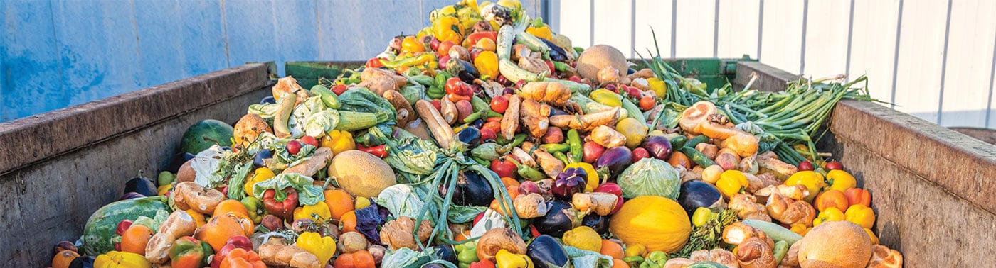 A large bin overflows with discarded fruits and vegetables piled high