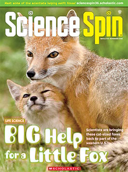 Magazine Issue Cover