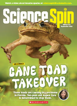 Cover of Science Spin, a large cane toad leaps toward the camera with front legs extended